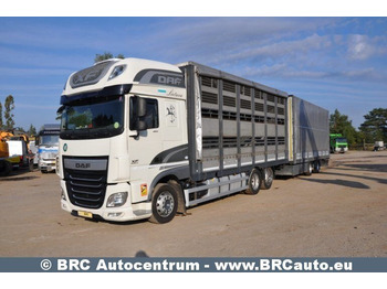 Camion à rideaux coulissants DAF XF