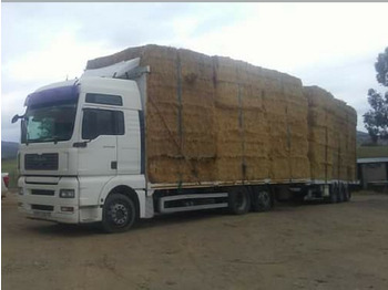 Camion plateau MAN TGA