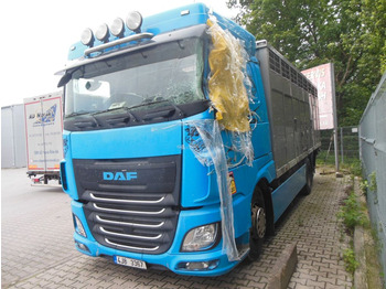 Camion bétaillère DAF XF 106 460