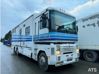 Camion chevaux RENAULT Magnum AE