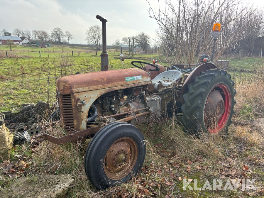 Tracteur agricole Traktor Ferguson: photos 1