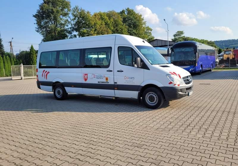 Minibus, Transport de personnes Mercedes-Benz 513 SPRINTER TRANSFER / SPROWADZONY/ MANUAL: photos 27