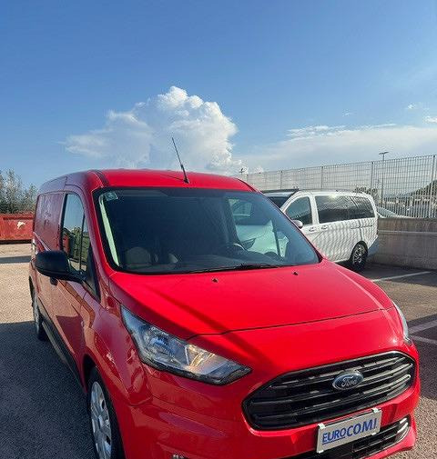 Fourgonnette Ford transit connect automatico: photos 11